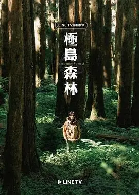 《极岛森林》：疗愈之旅，探索自然与内心深处的平静