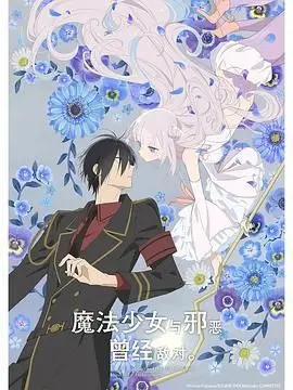 《魔法少女与恶曾是敌人》：当正义遇上邪恶，爱情的火花能否点燃新世界？